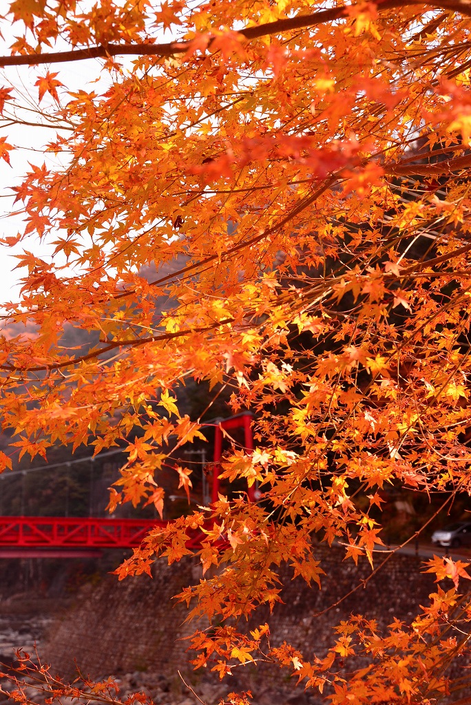 武田尾（武庫川）