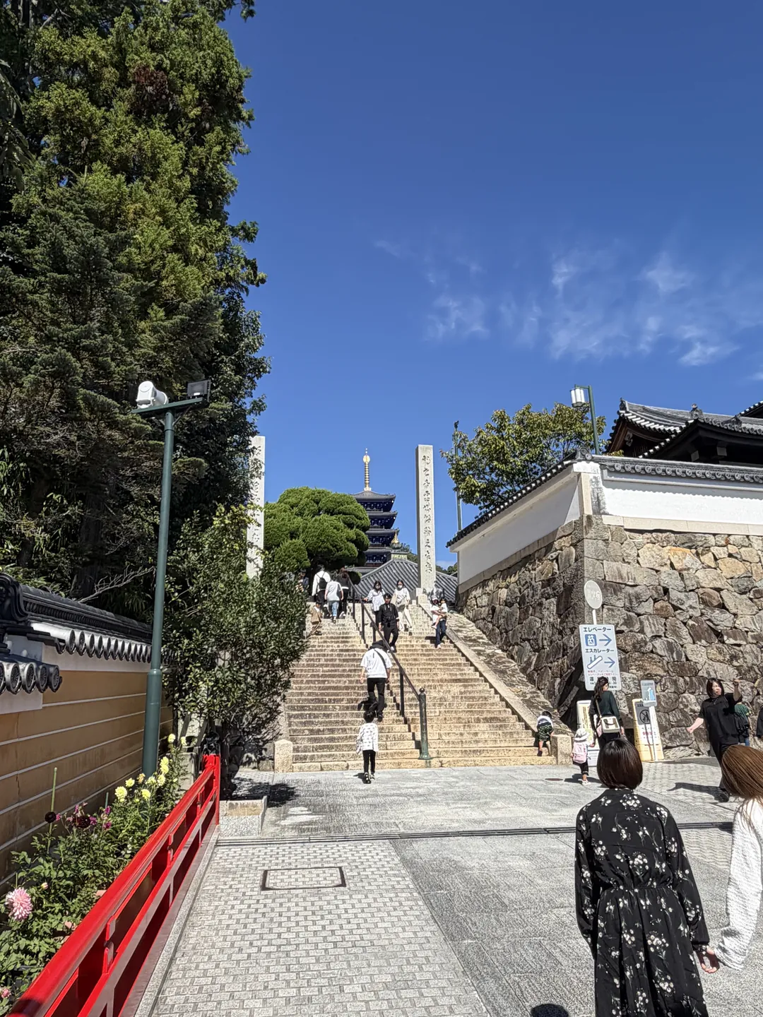 境内の階段と、その先に見える五重塔
